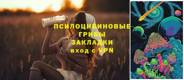 Альфа ПВП Медногорск